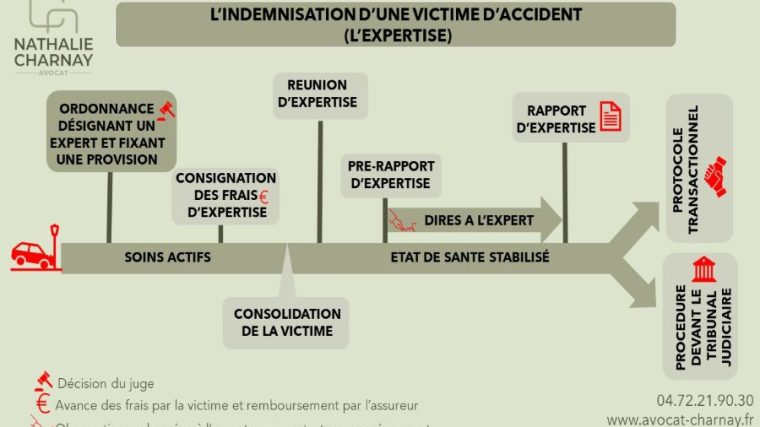 découvrez les étapes clés à suivre après avoir reçu un avis de victime : démarches importantes, droits à faire valoir et conseils pour obtenir soutien et réparation rapidement.